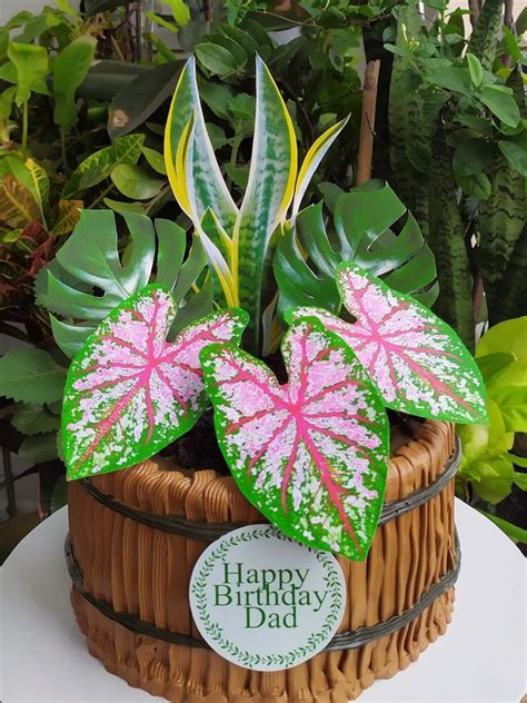 plant leaves plant lovers cake topper digital  etsy