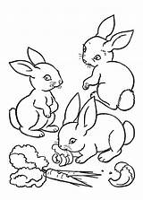Conigli Window Coniglio Malen Pianetabambini Einhorn Hase Neu Malvorlage Vorlage Genial Rabbits Ausmalbilder Hasen sketch template