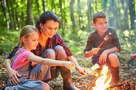 family roasting marshmallows  campfire  forest stock photo dissolve