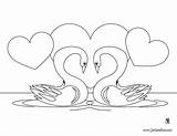 Cisnes Cygne Amoureux Coloriage Dessin Coloriages Personnages Cygnes Imprimer Albumdecoloriages Coeur Oiseau sketch template