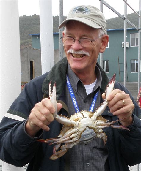 discovering  monster crabs    chesapeake chesapeake blue crab