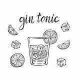 Gin Tonic Slice Vecteezy sketch template