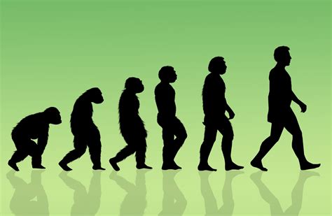 humans are still evolving—and it may be happening faster than ever