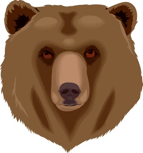 png  bears transparent  bearspng images pluspng