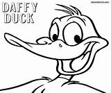 Duck Daffy Coloring Pages Colorings Coloringway sketch template