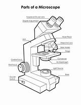Microscope Labeled sketch template