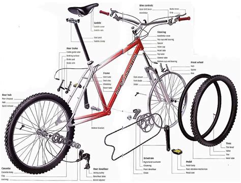 hub  ride  basic knowledge   bike  anatomy