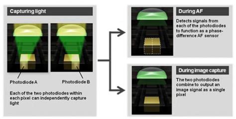 canon eos  dual pixel cmos af revolutionary system detailed slashgear