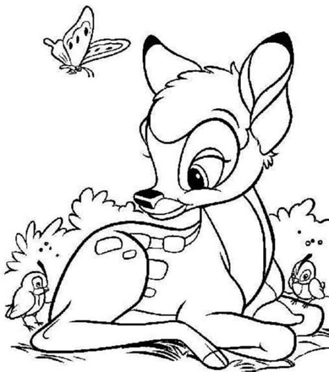 baby deer coloring pages animal place