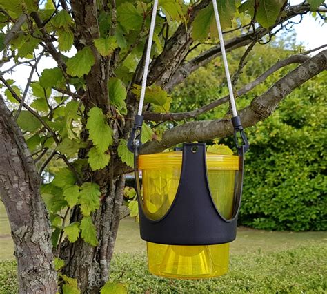 Hanging Freestanding Wasp Trap Wasps And Fly Control Green Gardener