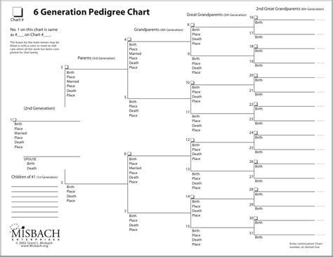 generation pedigree template hq printable documents
