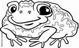 Toad Rospo sketch template