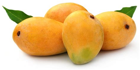 meaning  symbolism   word mango