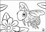 Animals Coloring Pages Kids Coloringpages Freebies Pdf Bee1 sketch template