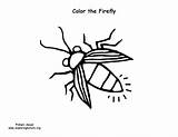 Firefly Coloring Pages Printable Color Pdf Sponsors Wonderful Support Please Getcolorings sketch template