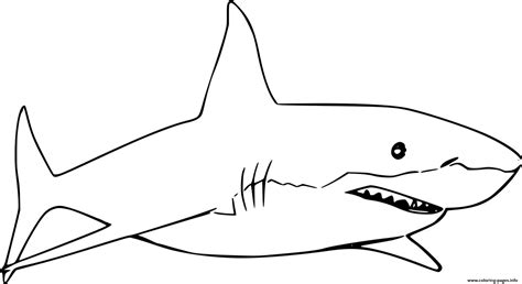 simple shark template