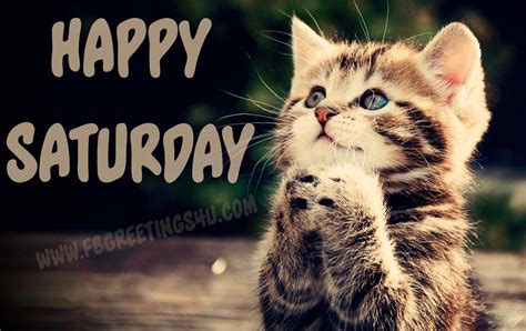 images pictures fb whatsapp quotes wishes funny jokes dp status hike happy saturday scraps