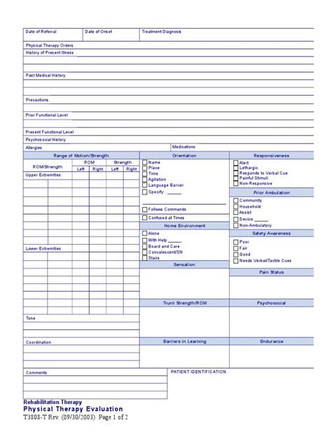 physical therapy evaluation form physical therapy nervous system