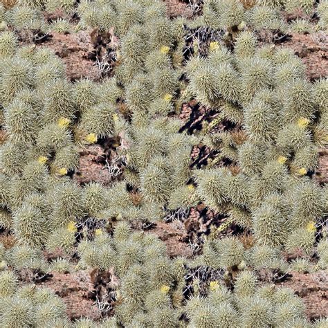 desert bear camouflage pattern
