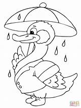 Coloring Duck Umbrella Rain Ducks Under Pages Printable Outline Holding Boy Supercoloring Para Clipart Categories Animals Popular Books Library Drawing sketch template