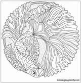 Ocean Pages Coloring Mandalas Mandala Online Color Coloringpagesonly sketch template