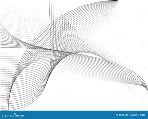 black  white template stock images image