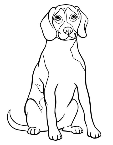 beagle puppy coloring page  printable coloring pages  kids
