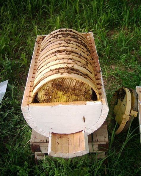 bee hive design gardens pinterest bee hives bees  design