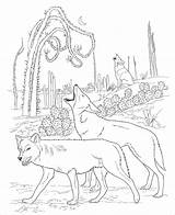 Coloring Coyote Desert Coloringbay Pages sketch template
