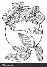 Orchidee Kleurplaten Vectorillustratie Stockillustratie Tattoo Alexanderpokusay sketch template
