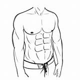 Muscular sketch template