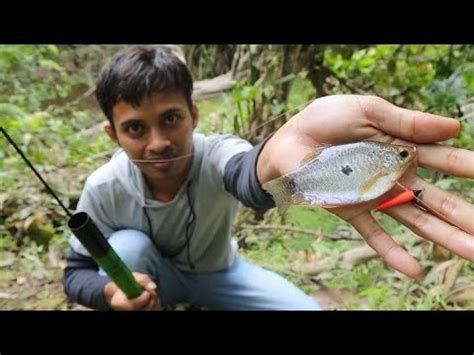 mancing ikan sepat  umpannya youtube