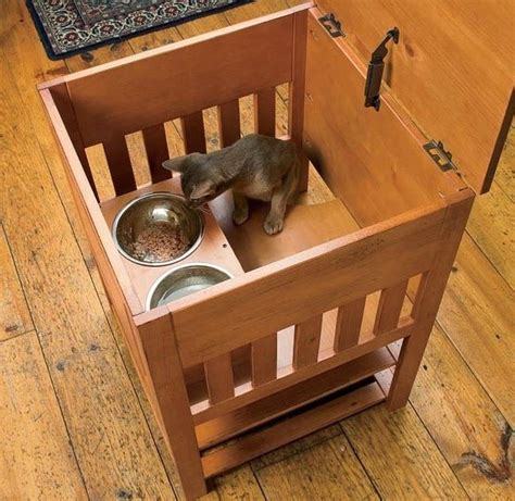 dog proof cat feeding station   great idea  keeping dogs   cats food  cat