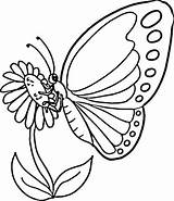 Butterfly Coloring Monarch Pages Printable Categories sketch template