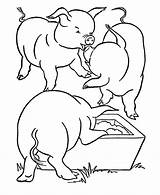 Coloring Pages Pig Farm Animal Pigs Kids Outline Animals Feeding Printable Clipart Cliparts Activity Outlines Honkingdonkey Mau Library Colouring Choose sketch template