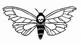 Head Death Hawkmoth Moth Freebie Friday Deaths Deathshead sketch template