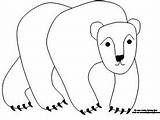 Polar Bear Coloring Pages Carle Eric Activities Learning Printables Characters Preschool Kids Fun Printable Template Available Animals Early Story Do sketch template