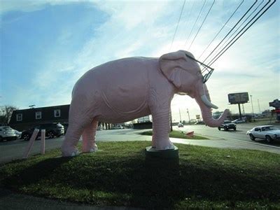 pink elephant cookeville tn roadside attractions  waymarkingcom
