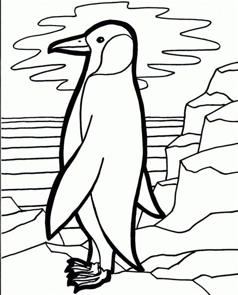 penguin coloring pages  printable