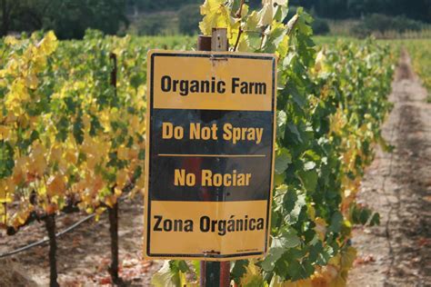 organic farmers    pesticides  conventional farmers