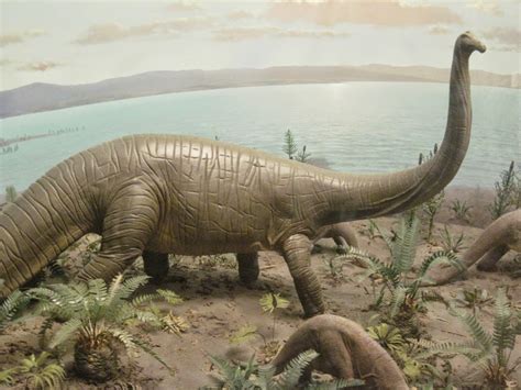 pseudoplocephalus  brontobyte  sauropods