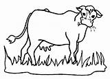 Cow Grass Eating Clipart Coloring Hungry Cows Drawing Netart Pages Animal Eat Color Clip Drawings Clipartfest Cliparts Clipartbest Draw Animals sketch template
