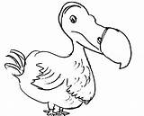 Dodo Bird Coloring Pages Kids Netart Template 486px 65kb sketch template