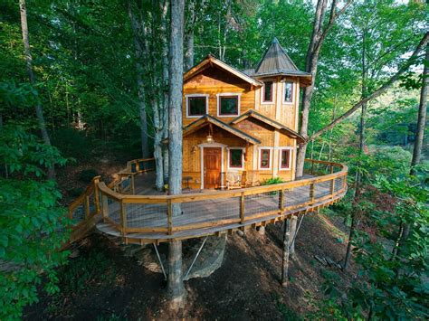 top   tree house hotels   world