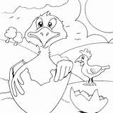 Hatching Chick Coloring Mau Tranh Seipp Dave Drawn Cho sketch template