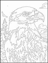 Number Color Pages Adult Coloring Dover Numbers Paint Printable Publications 塗り絵 Bird Eagle Animal Welcome ぬり絵 Bald Adults Book Books sketch template