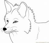 Fox Coloring Pages Face Printable Fennec Cute Baby Template Print Clipart Animal Drawings Library Designlooter Colored Templates Sheets Results 705px sketch template