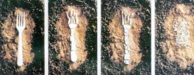 ksjbio    plastic degrade slower