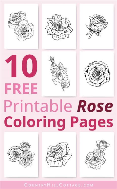 printable rose coloring pages  realistic designs  adults