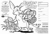 Bilby Mammals Flvs Replace Bunny sketch template